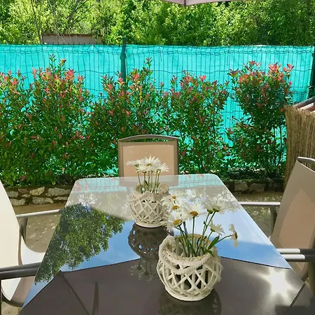 Genciana, Con Encanto En La Montana Leonesa *