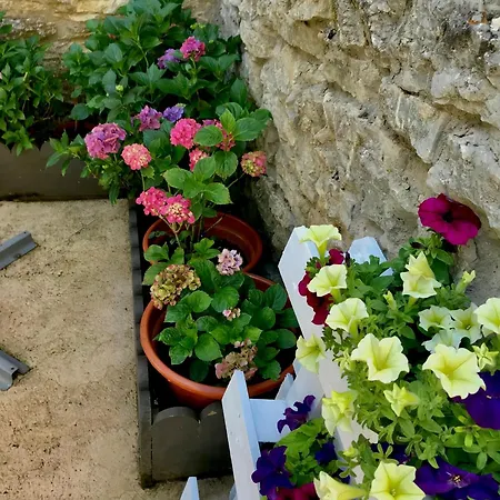 Genciana, Con Encanto En La Montana Leonesa Cuevas de Vinayo