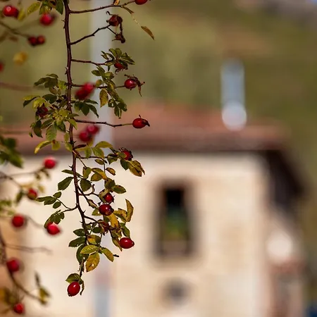 Genciana, El Encanto En La Montana Leonesa Holiday home