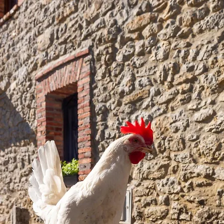 Holiday home Genciana, El Encanto En La Montana Leonesa