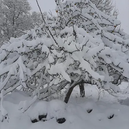 Holiday home Genciana, Con Encanto En La Montana Leonesa Cuevas de Vinayo