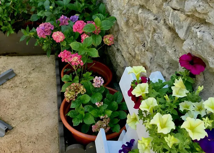 Genciana, Con Encanto En La Montaña Leonesa Cuevas de Vinayo