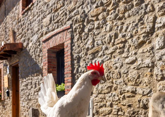 Сasa de vacaciones Genciana, Con Encanto En La Montaña Leonesa