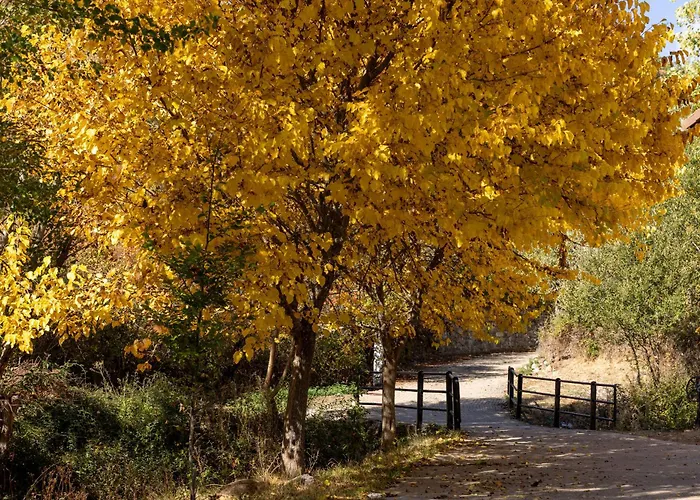 Genciana, Con Encanto En La Montaña Leonesa Сasa de vacaciones *