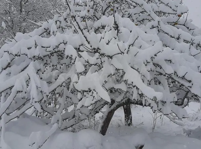 Сasa de vacaciones Genciana, Con Encanto En La Montaña Leonesa Cuevas de Vinayo